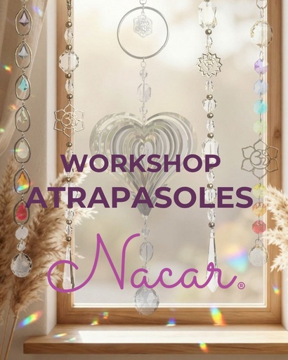 Workshop Atrapasoles